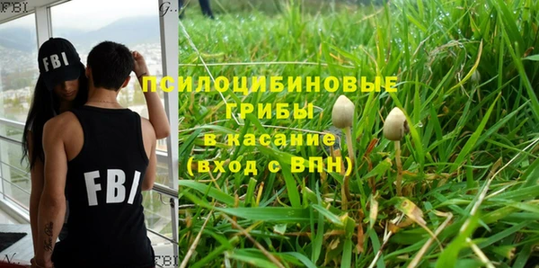 ECSTASY Гусиноозёрск