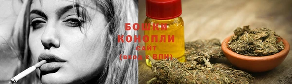 круглые Гусев