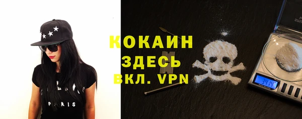круглые Гусев