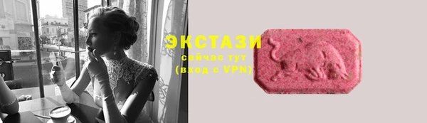 круглые Гусев