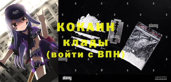 круглые Гусев